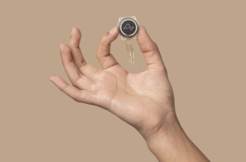  Tautan Saraf: Memahami Kekuatan Koneksi Otak